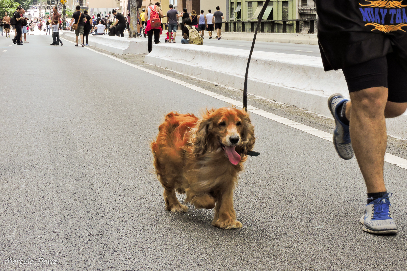 Vida Urbana e Lifestyle