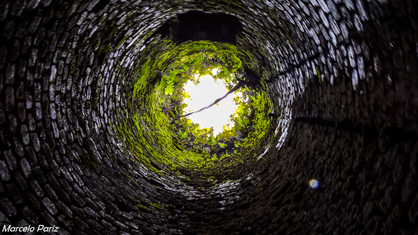 Paisagens e Natureza Morta